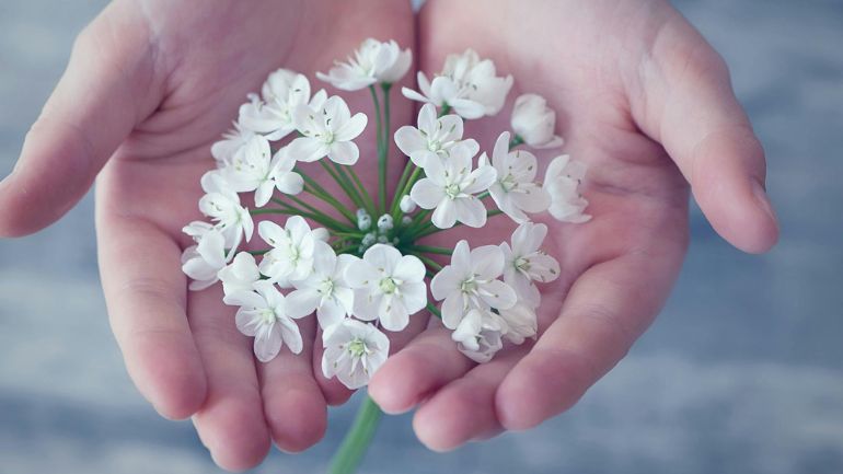 Antibiotico resistenza