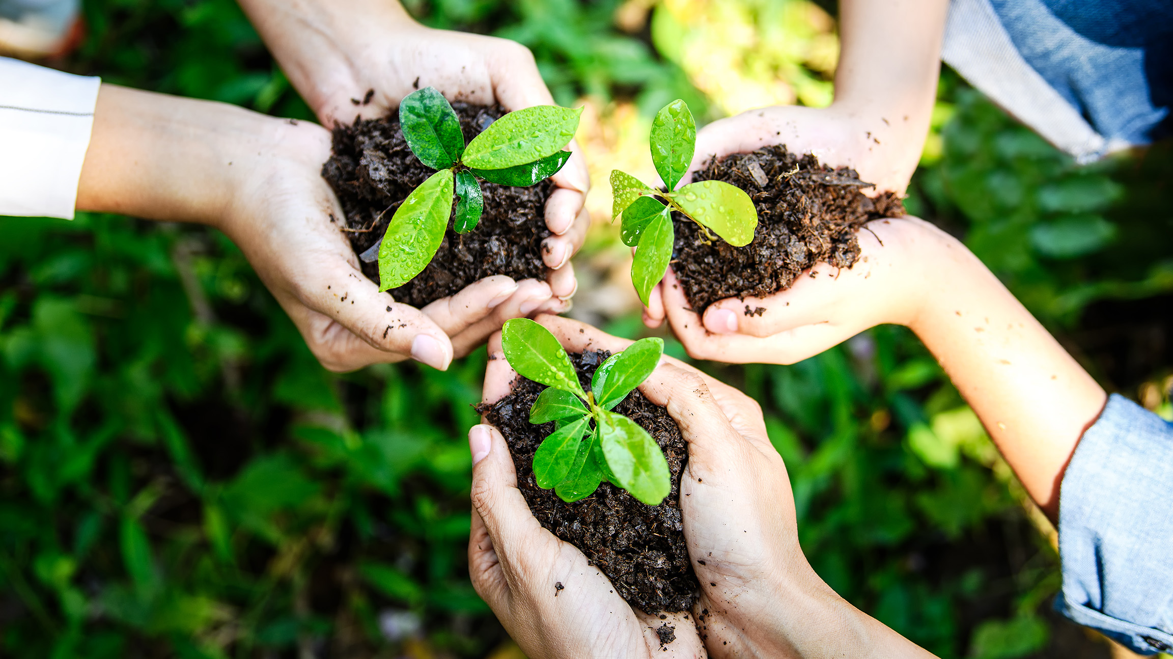Giornata Mondiale dell’Ambiente MyApotecaNatura Community